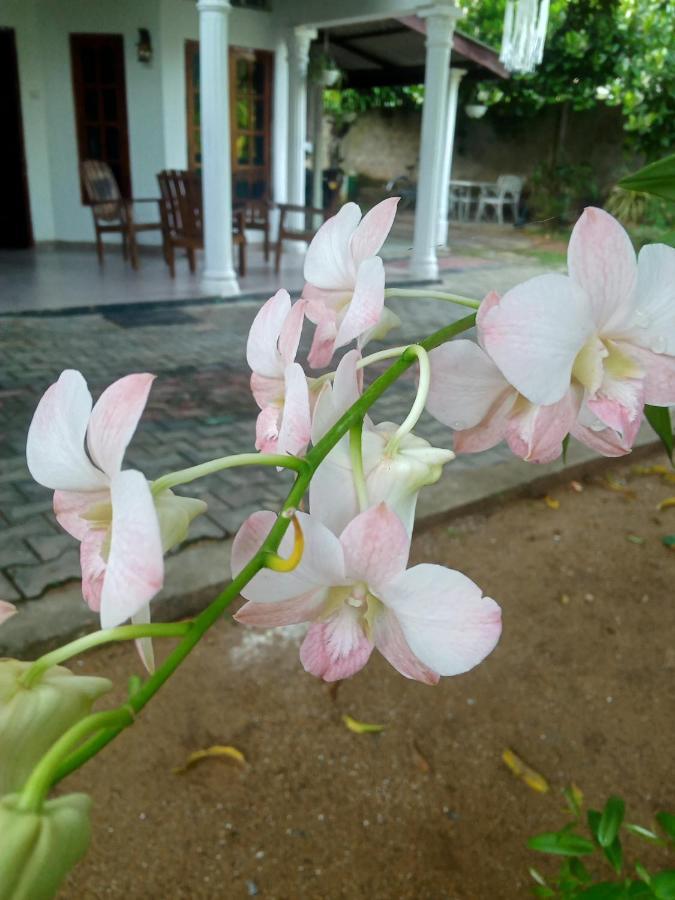 Sidhangana Home Stay Anuradhapura Ngoại thất bức ảnh