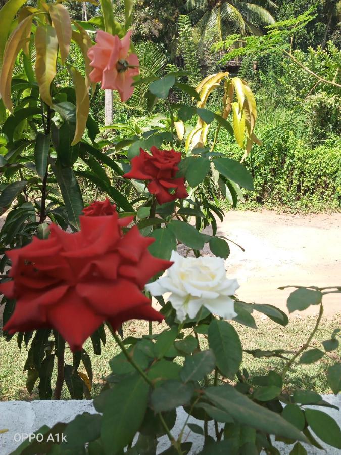 Sidhangana Home Stay Anuradhapura Ngoại thất bức ảnh