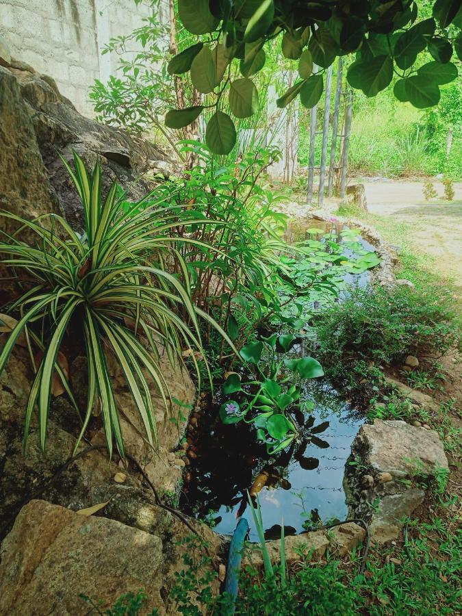 Sidhangana Home Stay Anuradhapura Ngoại thất bức ảnh
