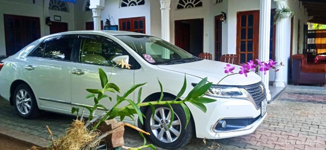 Sidhangana Home Stay Anuradhapura Ngoại thất bức ảnh