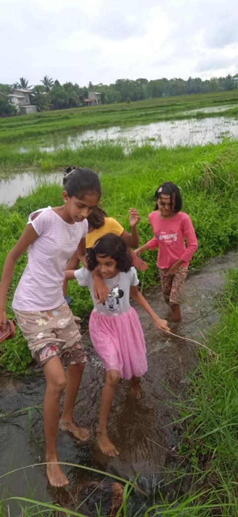 Sidhangana Home Stay Anuradhapura Ngoại thất bức ảnh