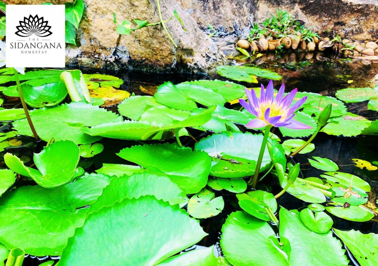Sidhangana Home Stay Anuradhapura Ngoại thất bức ảnh