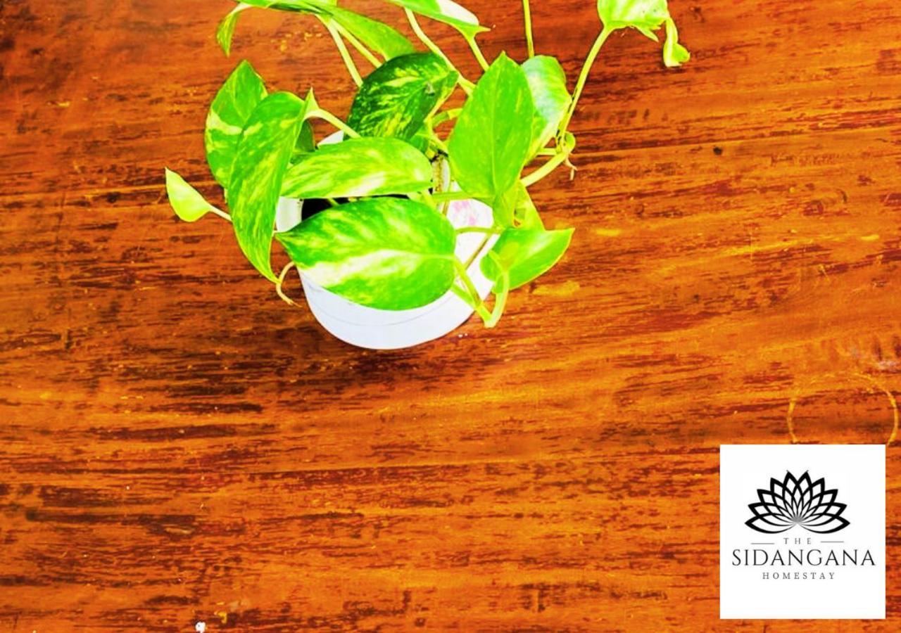 Sidhangana Home Stay Anuradhapura Ngoại thất bức ảnh